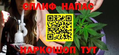 прущие грибы Будённовск