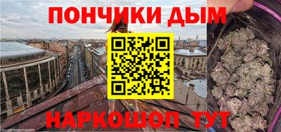 прущие грибы Будённовск