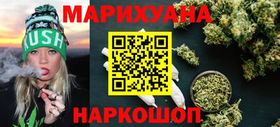 прущие грибы Будённовск
