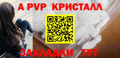 прущие грибы Будённовск