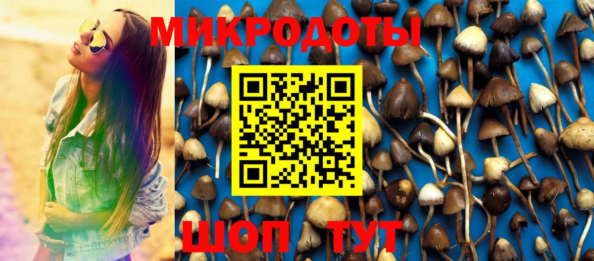 Галлюциногенные грибы GOLDEN TEACHER Курган