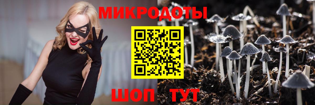 Галлюциногенные грибы ЛСД  Вход с VPN  Курган 